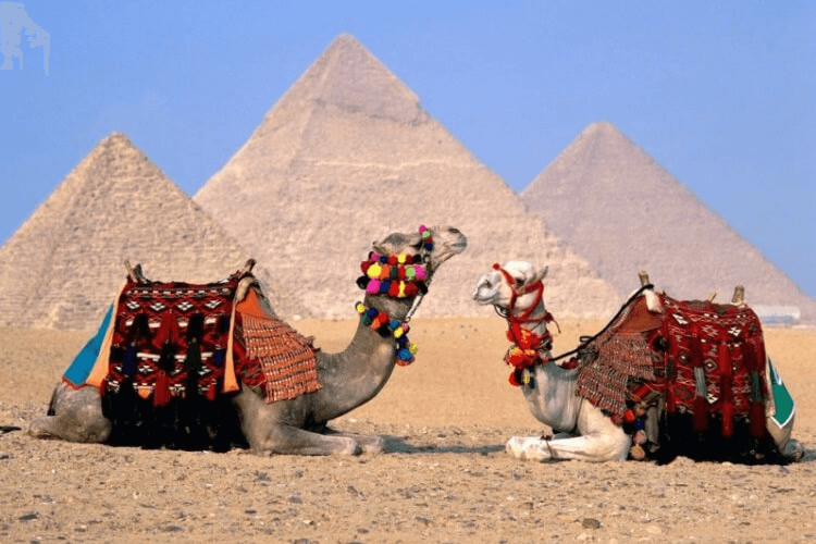 EGIPTO + JORDANIA + ISRAEL