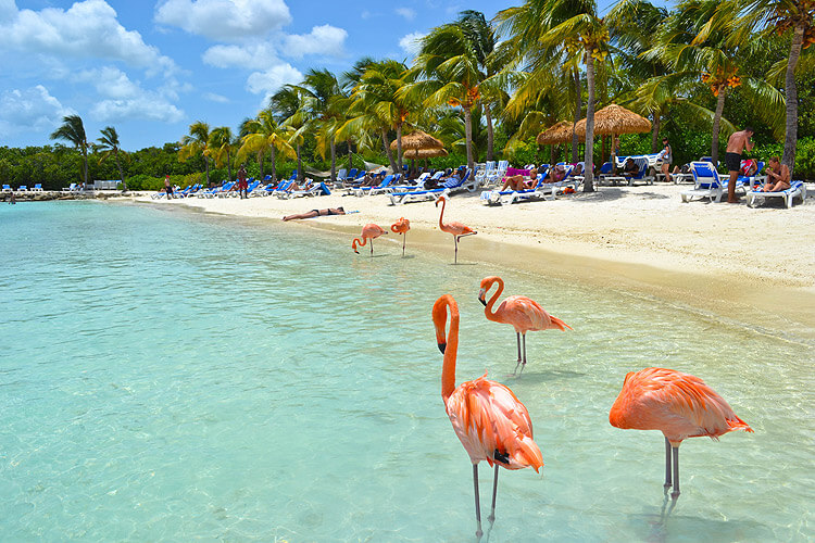ARUBA LA ISLA FELIZ