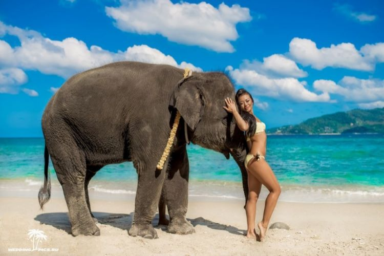 TAILANDIA EXOTICA 