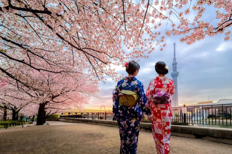 JAPON + COREA DEL SUR