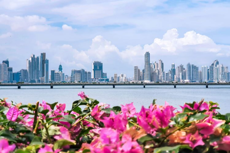 PANAMA CIUDAD Y COMPRAS