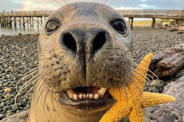 GALAPAGOS TOUR COMPLETO